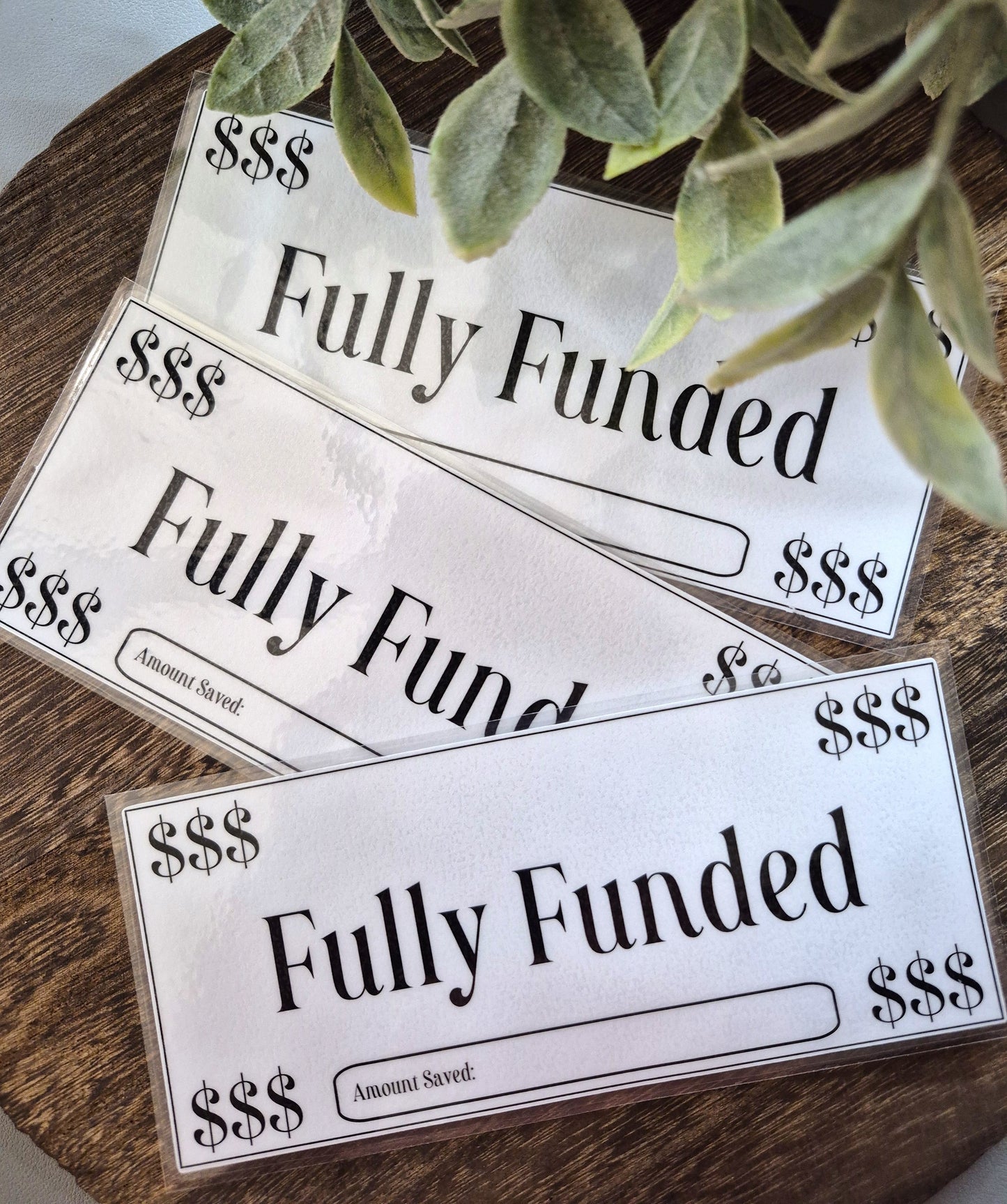 Fully Funded Place Holder, A6 size Laminated Fully Funded Place Holder for A6 cash envelopes