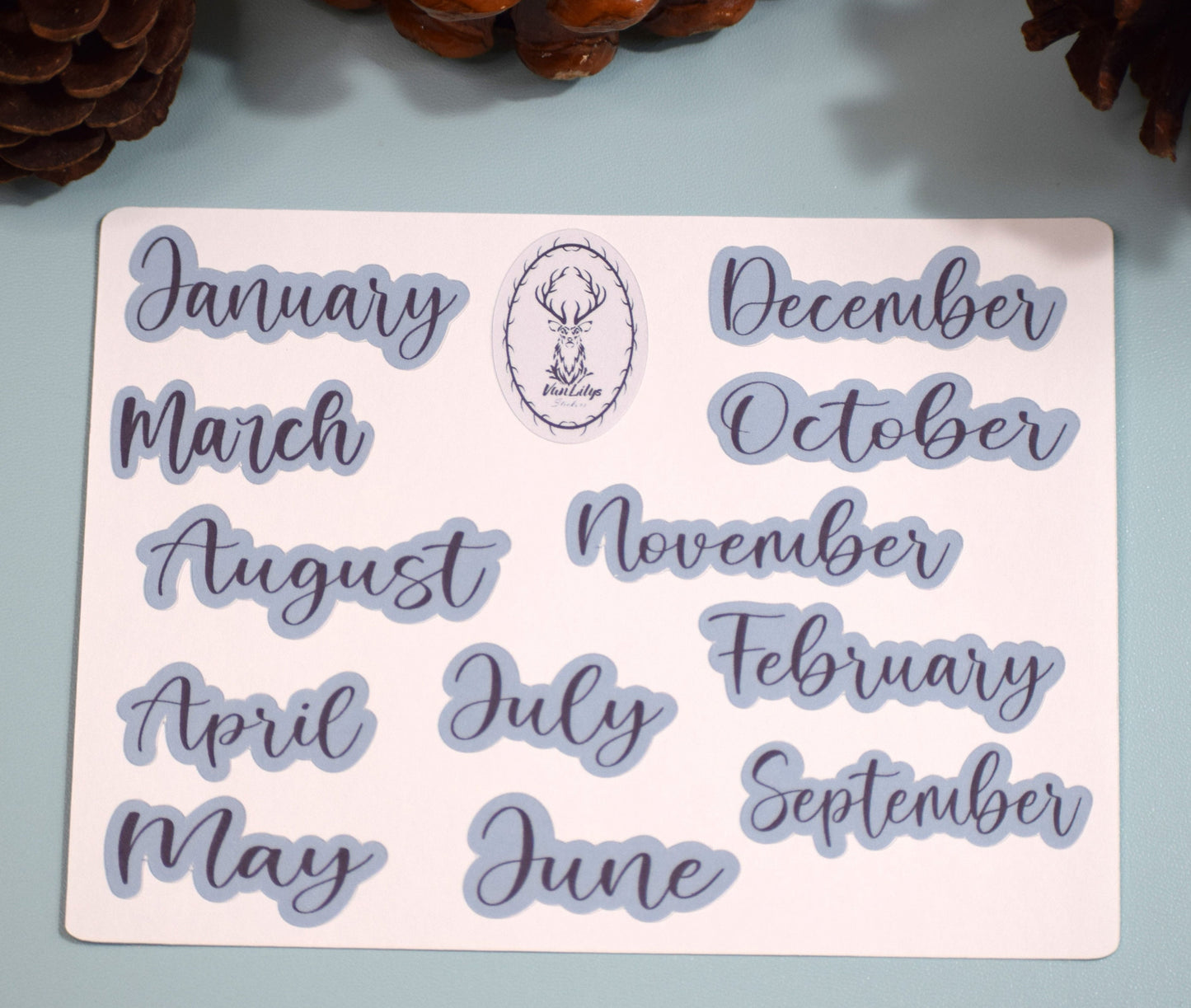 Erin Condren|TBM Monthly Header Sticker Sheet, Winter of Pinecones