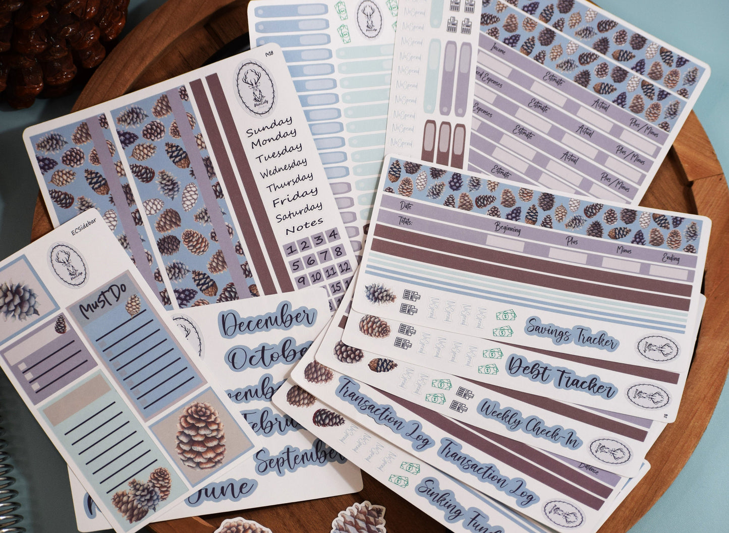 Ultimate Budget Sticker Kit, For the Erin Condren 7x9 and 8.5x11 Monthly Planners, Winter of Pinecones