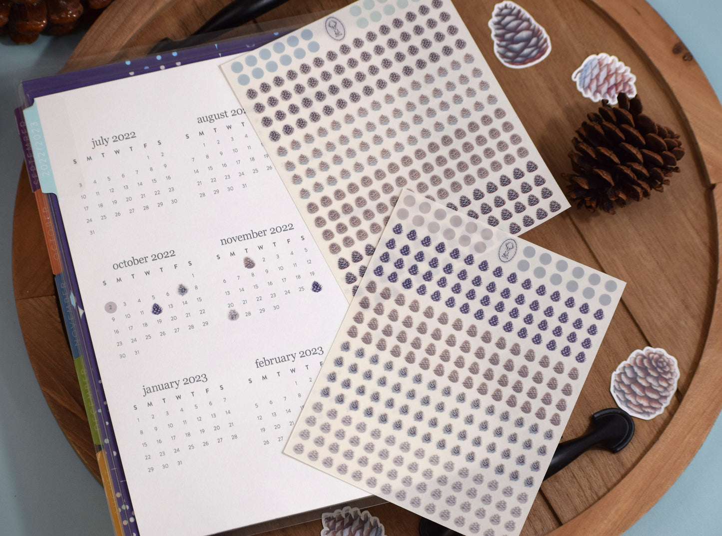 Ultimate Budget Sticker Kit, For the Erin Condren 7x9 and 8.5x11 Monthly Planners, Winter of Pinecones