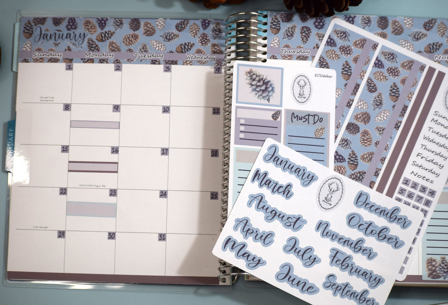 Erin Condren|TBM Monthly Header Sticker Sheet, Winter of Pinecones
