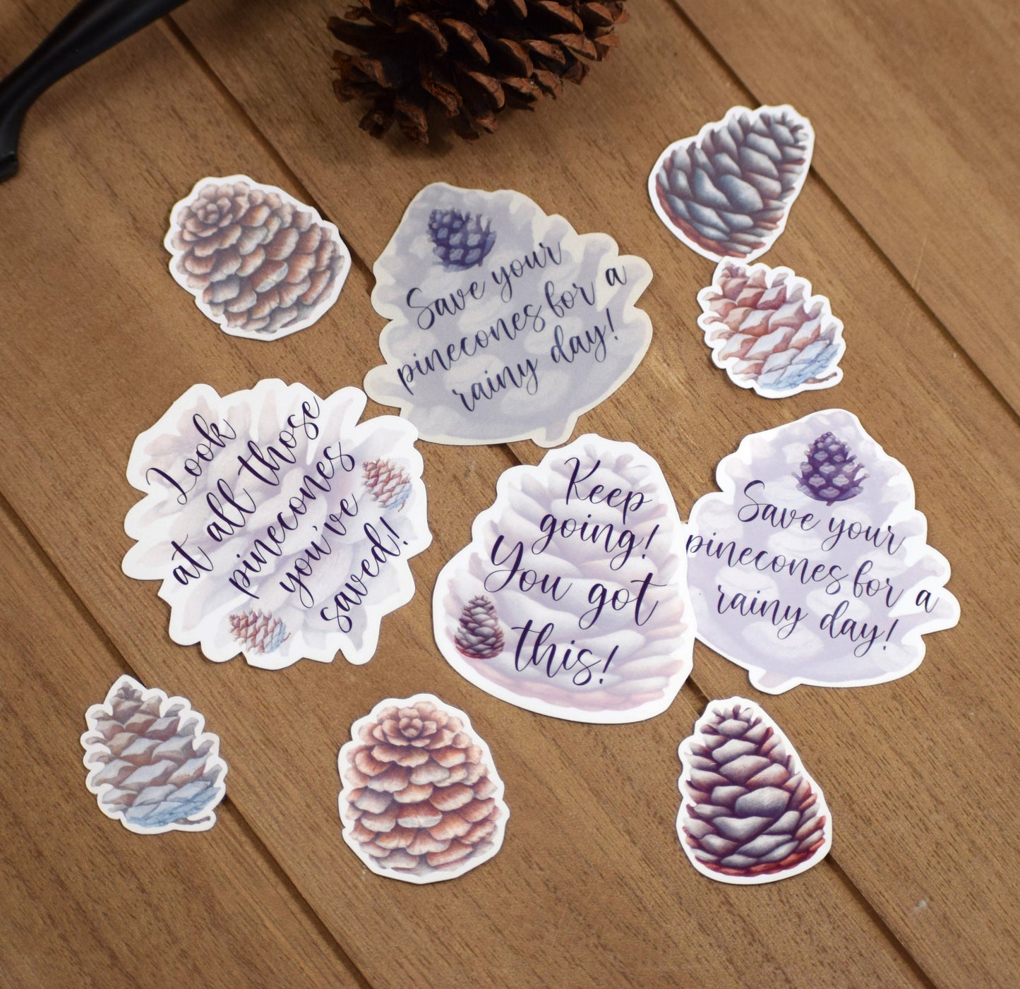 Ultimate Budget Sticker Kit, For the Erin Condren 7x9 and 8.5x11 Monthly Planners, Winter of Pinecones