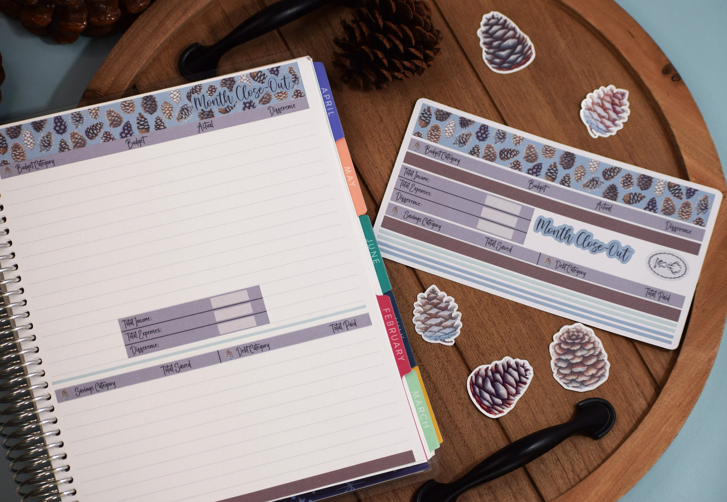 Ultimate Budget Sticker Kit, For the Erin Condren 7x9 and 8.5x11 Monthly Planners, Winter of Pinecones