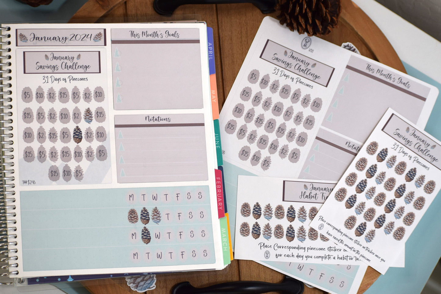 Ultimate Budget Sticker Kit, For the Erin Condren 7x9 and 8.5x11 Monthly Planners, Winter of Pinecones