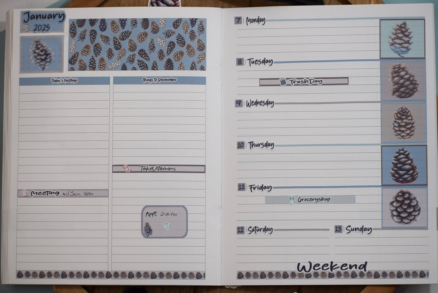 Plum Paper 7x9 Notes And Days Weekly Planner Sticker Kit #18, Winter of Pinecones