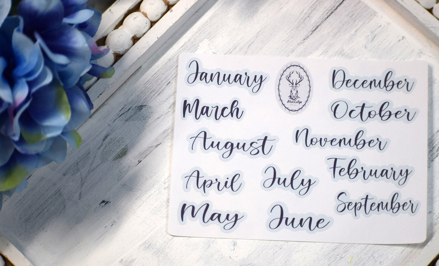 Budget Sticker Kit, Blue Flower