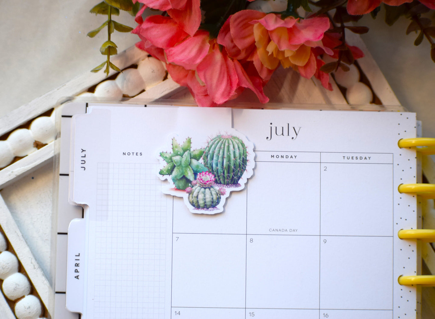 Magnetic Bookmarks, Cactus