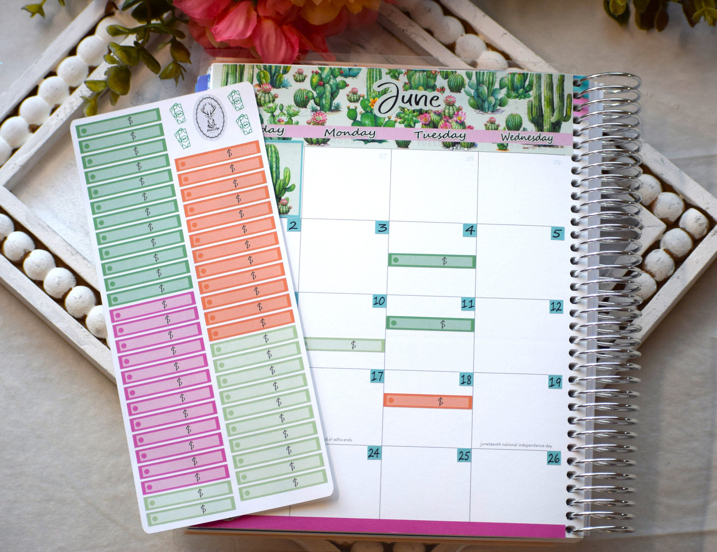 Budget Sticker Kit, Cactus