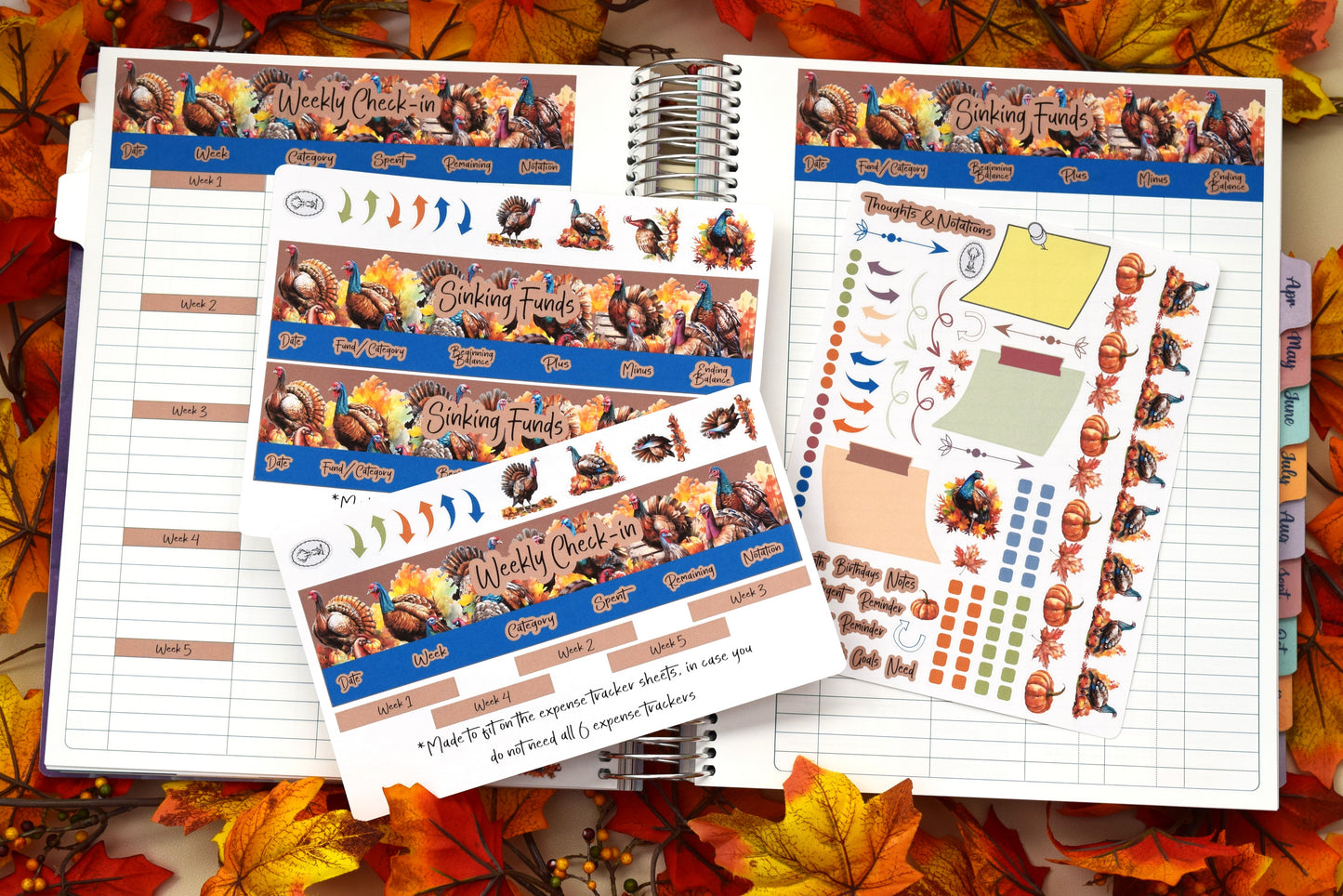 TBM BBP Workbook Sticker Kit, Turkeys!