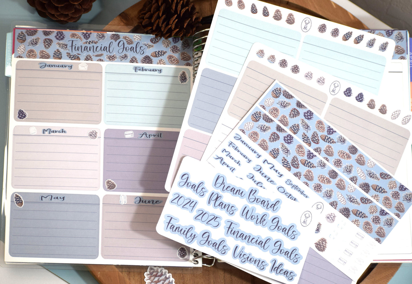 Ultimate Budget Sticker Kit, For the Erin Condren 7x9 and 8.5x11 Monthly Planners, Winter of Pinecones