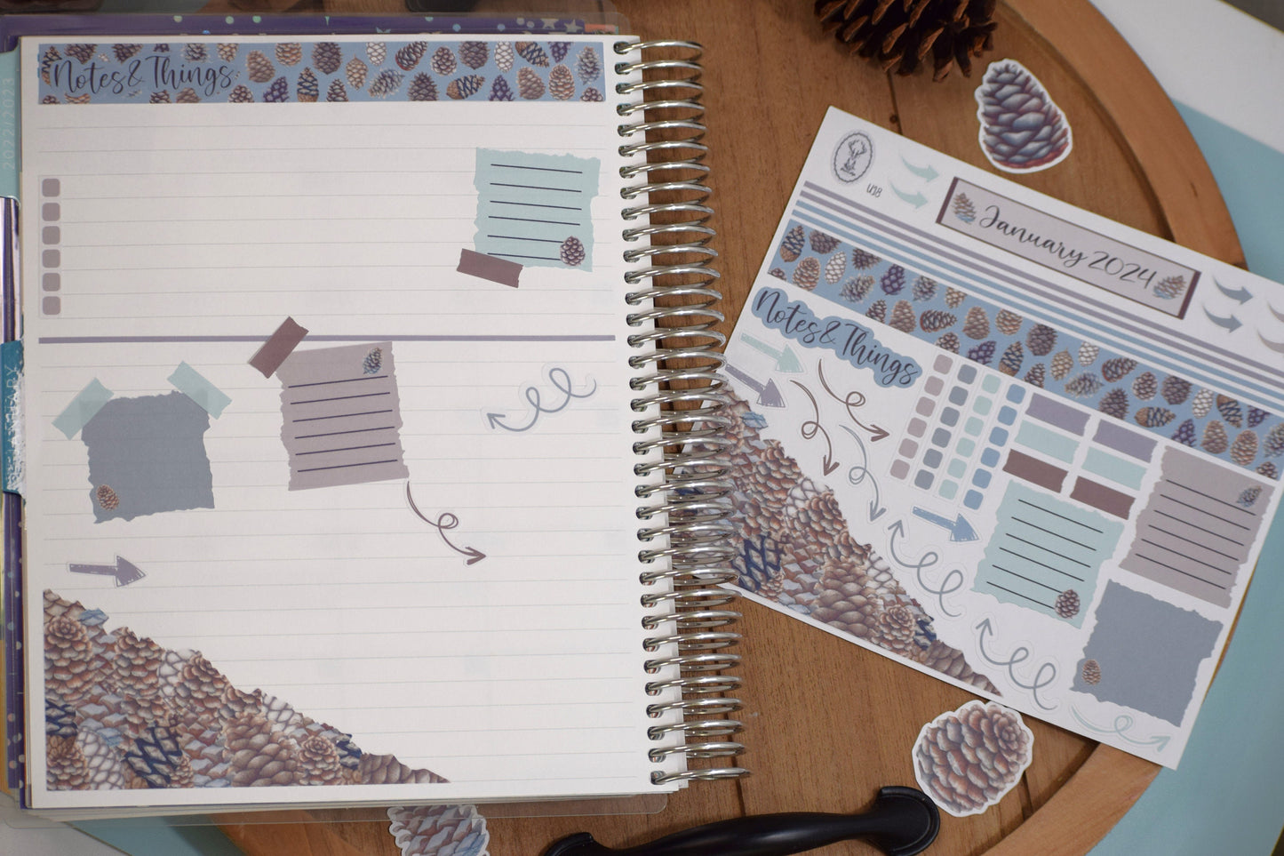 Ultimate Budget Sticker Kit, For the Erin Condren 7x9 and 8.5x11 Monthly Planners, Winter of Pinecones