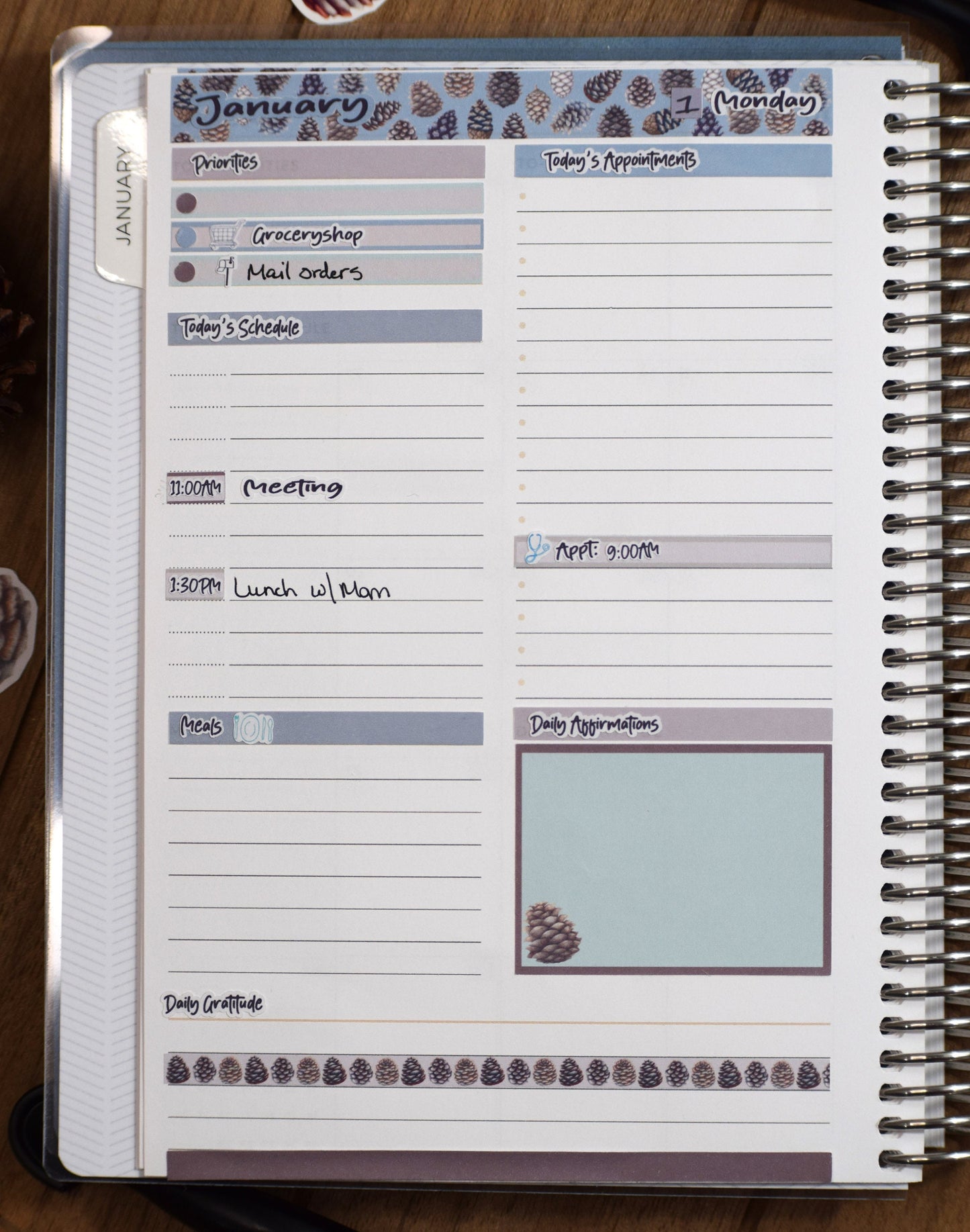 Plum Paper A5 Daily Weekly Planner Sticker Kit #18, Winter of Pinecones