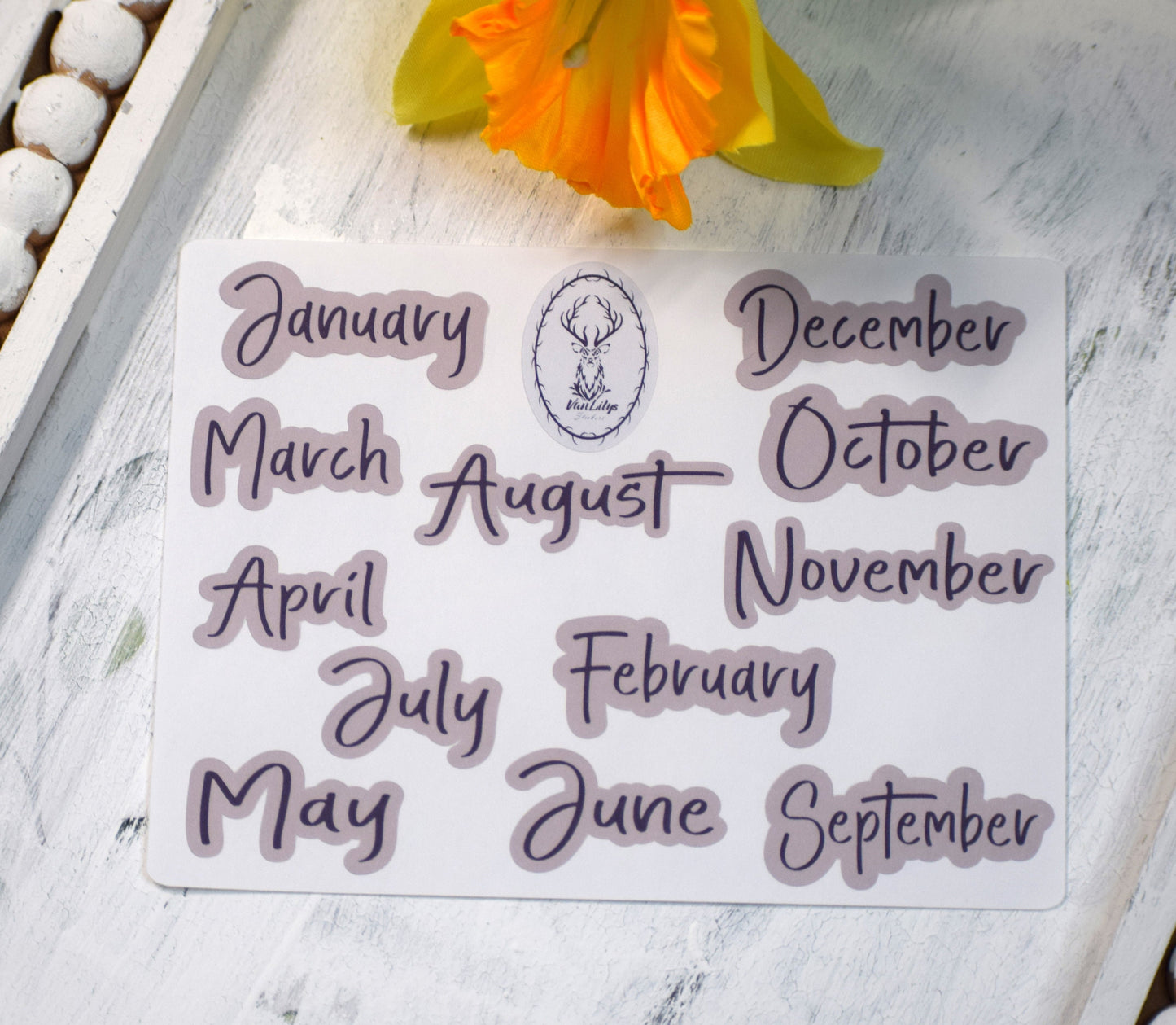Budget Sticker Kit, Daffodil Delight #20