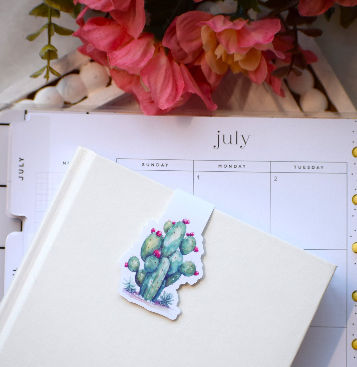 Magnetic Bookmarks, Cactus